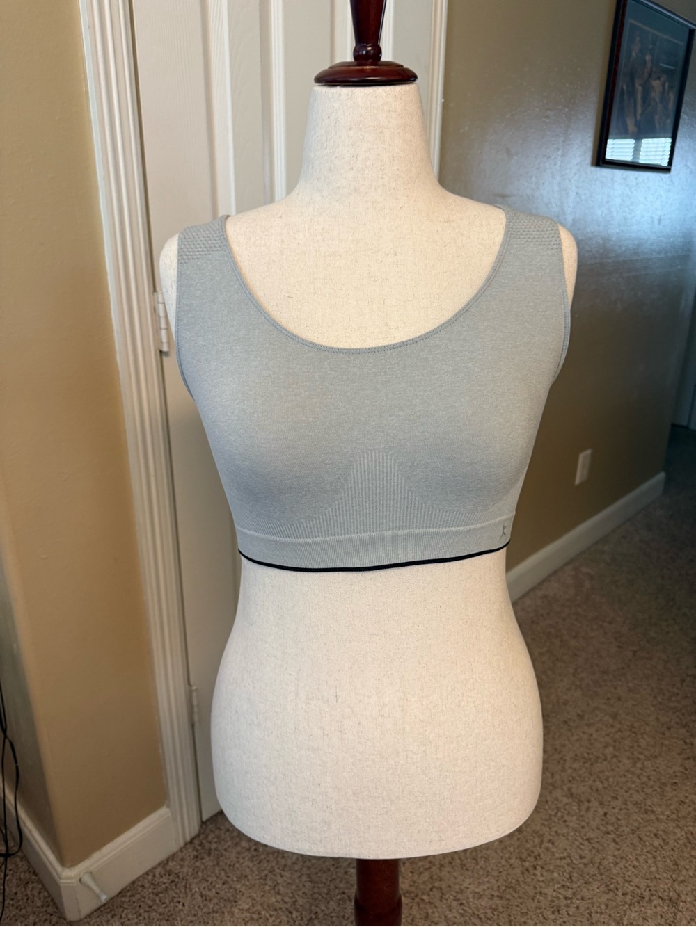 Danskin Seamless Scoop Bralette - Light Gray with Black Band